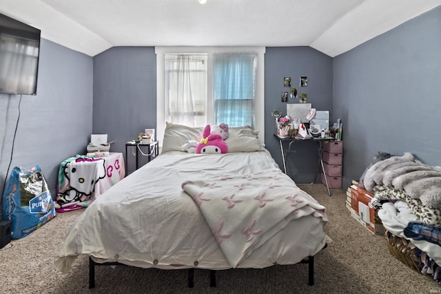 225 N E St, Marion, IN 46952 - bedroom featuring vaulted ceiling and carpet