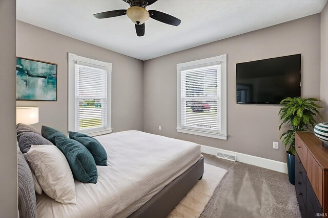 119 Towle Ave, Mishawaka, IN 46544 - bedroom with carpet flooring, multiple windows, and ceiling fan