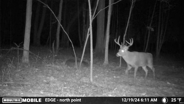 0 Mapes Rd, Kendallville, IN 46755