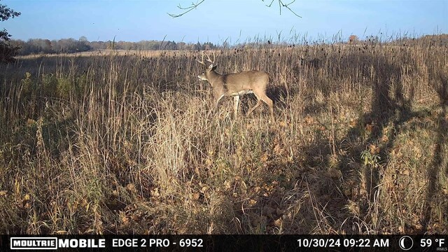 0 Mapes Rd, Kendallville, IN 46755