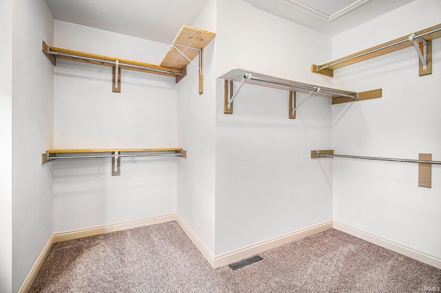 11999 Loughlin Dr, Mishawaka, IN 46545 - spacious closet with carpet floors