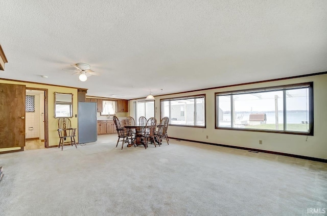 1049 Chapman Lake Dr, Warsaw, IN 46582 - dining room with a ceiling fan, a textured ceiling, light carpet, and ornamental molding