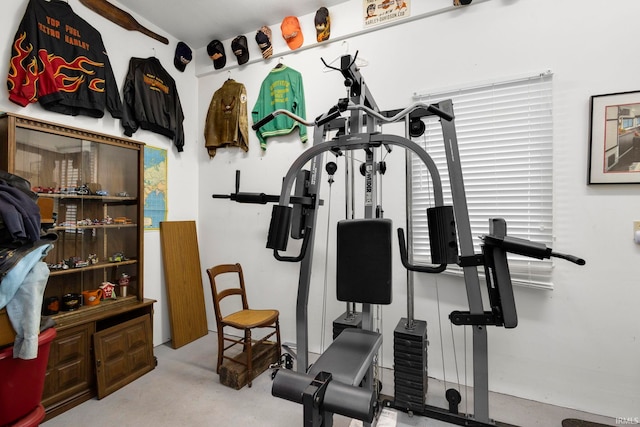 16123 County Road 18, Goshen, IN 46528 - view of exercise area