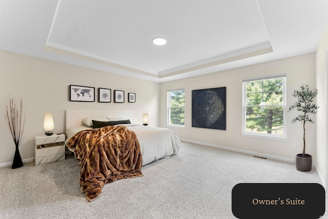 1114 Mosaic St, Huntertown, IN 46748 - carpeted bedroom featuring a raised ceiling, multiple windows, and crown molding