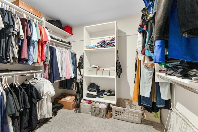 1114 Mosaic St, Huntertown, IN 46748 - walk in closet with carpet