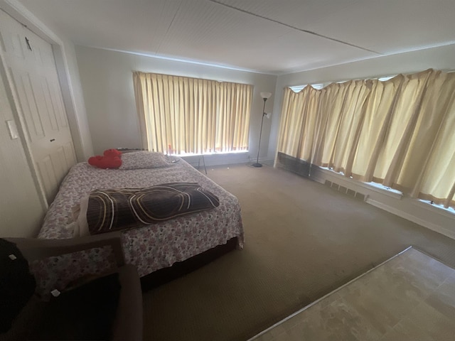 3001 S Pennsylvania Ave, Logansport, IN 46947 - bedroom featuring carpet flooring and multiple windows