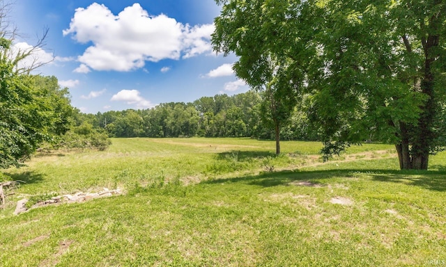 3721 Claremont Ave, Evansville, IN 47712 - view of grassy yard featuring a wooded view