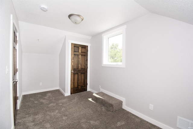 3046 Long Lake Rd, Albion, IN 46701 - additional living space with carpet floors and vaulted ceiling