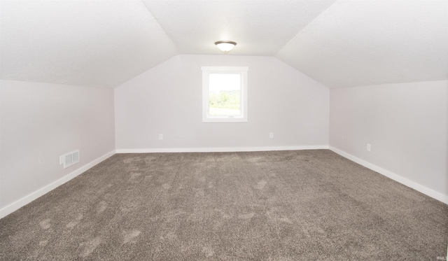 3046 Long Lake Rd, Albion, IN 46701 - bonus room featuring carpet and vaulted ceiling