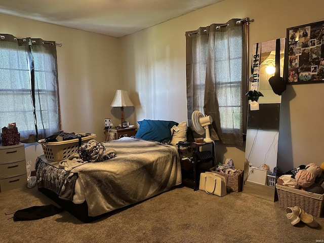 2816 E Morgan Ave, Evansville, IN 47711 - view of carpeted bedroom