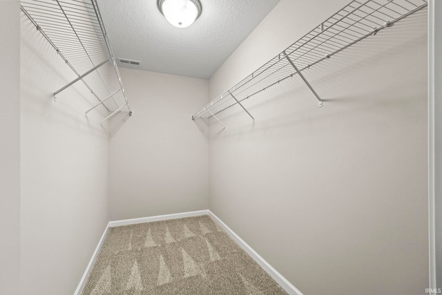 10263 Tirian Pl, Fort Wayne, IN 46835 - spacious closet with carpet floors