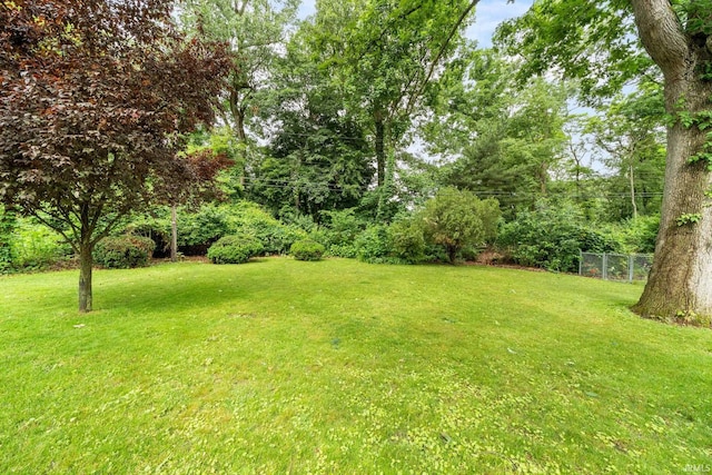 241 Sylvan Glen Dr, South Bend, IN 46615 - view of yard
