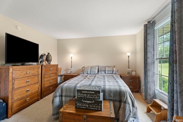 17135 Old 24 Rd, Woodburn, IN 46797 - bedroom featuring light carpet and multiple windows