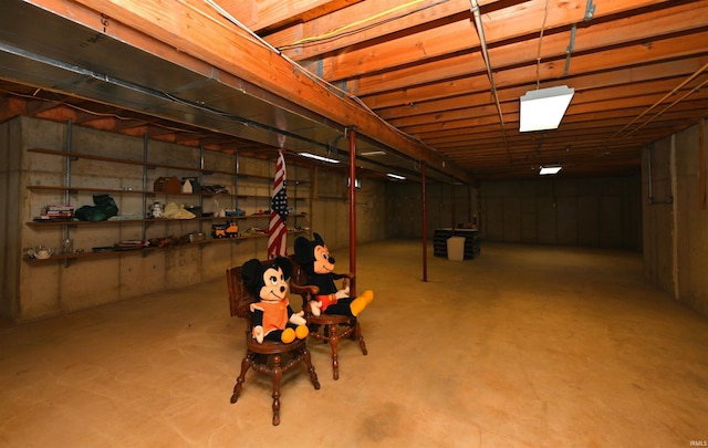 830 E Oak View Est, Winamac, IN 46996 - view of unfinished below grade area
