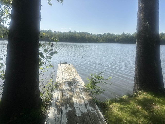 1995 S 445 E, Royer Lake, Lagrange, IN 46761 - water view with a dock