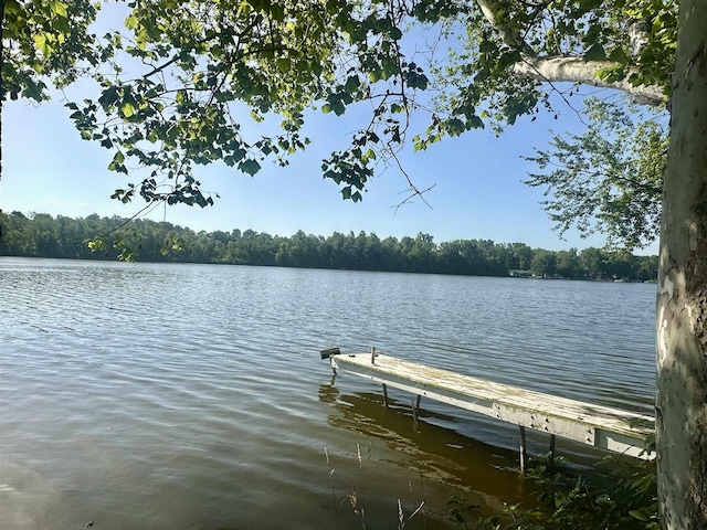 1995 S 445 E, Royer Lake, Lagrange, IN 46761 - dock area featuring a water view and a view of trees