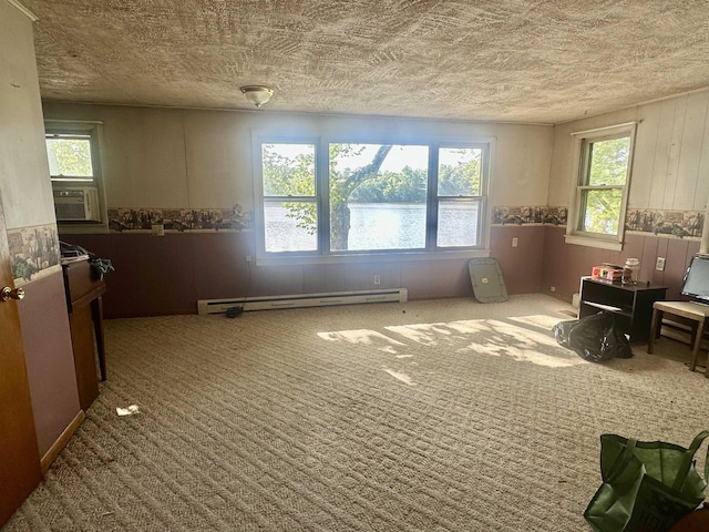1995 S 445 E, Royer Lake, Lagrange, IN 46761 - sitting room featuring a baseboard heating unit, plenty of natural light, carpet flooring, and a textured ceiling