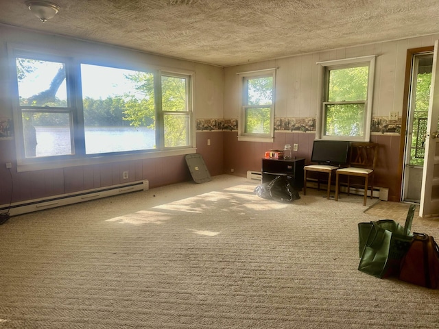 1995 S 445 E, Royer Lake, Lagrange, IN 46761 - living area featuring a baseboard radiator, a textured ceiling, carpet flooring, wood walls, and baseboard heating