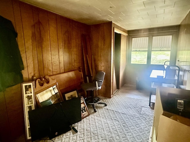 1995 S 445 E, Royer Lake, Lagrange, IN 46761 - home office with carpet floors and wooden walls