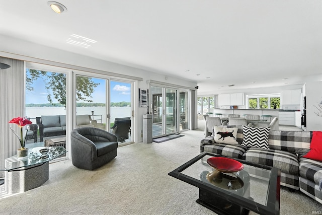 18 Ems T13E Ln, Leesburg, IN 46538 - living area featuring carpet flooring, a water view, and recessed lighting