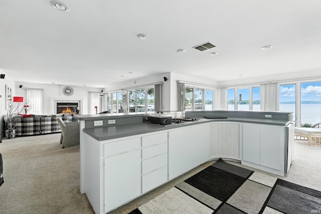 18 Ems T13E Ln, Leesburg, IN 46538 - kitchen featuring a water view, cooktop, open floor plan, light colored carpet, and recessed lighting