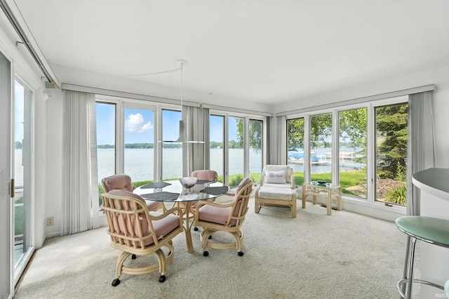 18 Ems T13E Ln, Leesburg, IN 46538 - sunroom / solarium featuring a water view, plenty of natural light, and carpet floors
