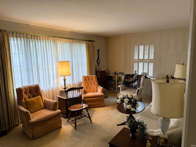 100 S Fairlawn Ave, Evansville, IN 47714 - living room with carpet floors