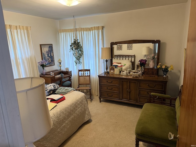 100 S Fairlawn Ave, Evansville, IN 47714 - bedroom featuring multiple windows and light colored carpet