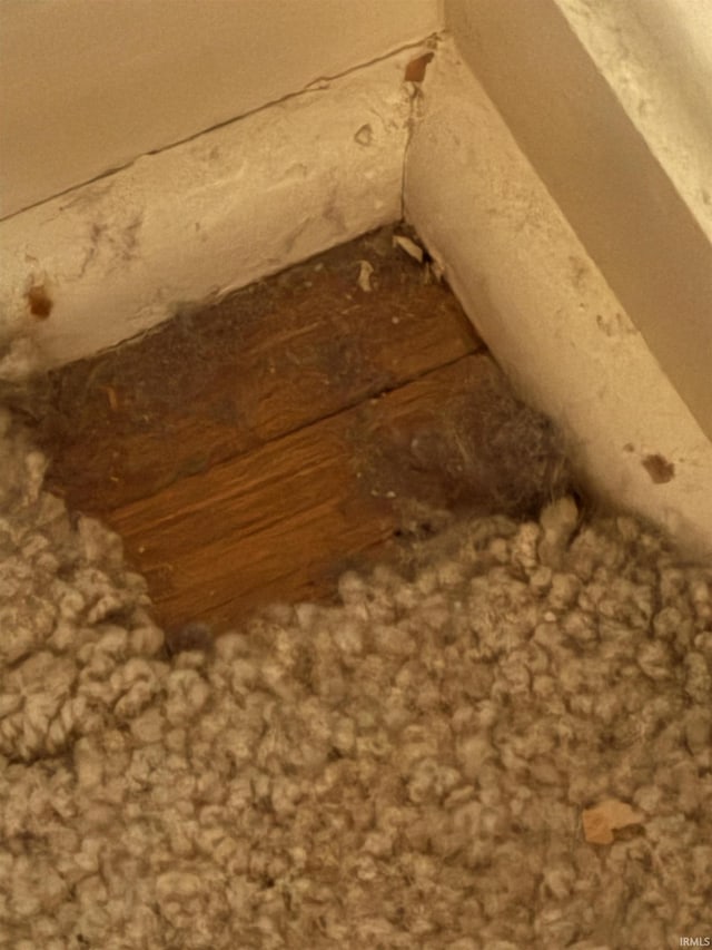 100 S Fairlawn Ave, Evansville, IN 47714 - view of attic