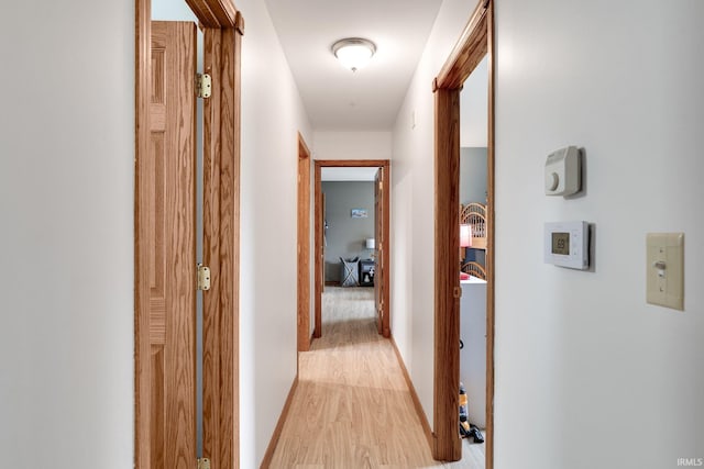 1205 Norma Jean Dr, Lafayette, IN 47909 - hallway with light wood-type flooring and baseboards