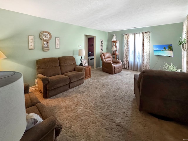 4329 Rutgers Dr Unit 40B, Anderson, IN 46013 - living room with light carpet and a textured ceiling