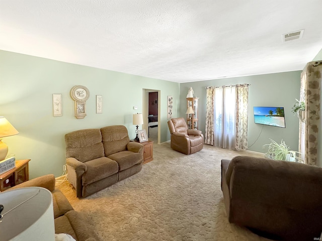 4329 Rutgers Dr Unit 40B, Anderson, IN 46013 - living area with light colored carpet and a textured ceiling