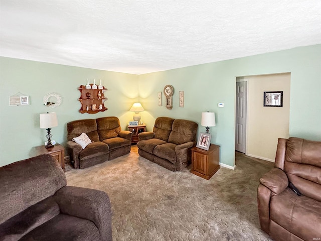 4329 Rutgers Dr Unit 40B, Anderson, IN 46013 - living area with carpet floors and a textured ceiling