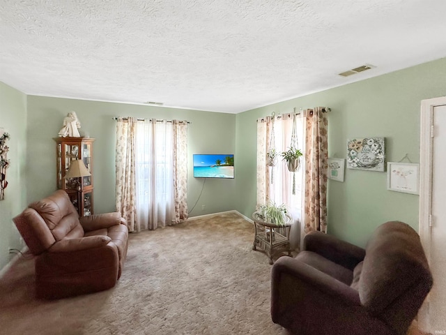 4329 Rutgers Dr Unit 40B, Anderson, IN 46013 - living room featuring plenty of natural light, carpet, and a textured ceiling