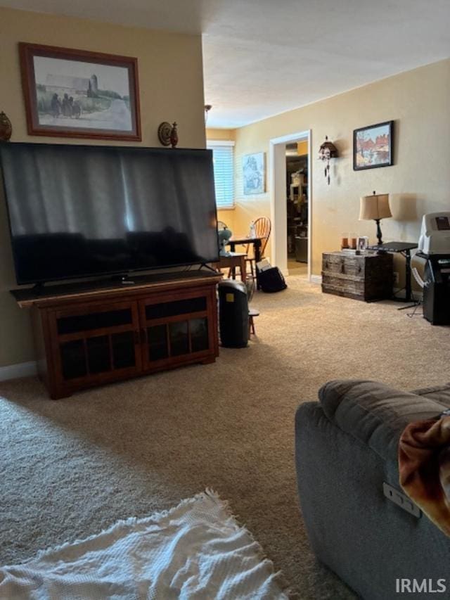 1814 W Kem Rd, Marion, IN 46952 - carpeted living area featuring baseboards