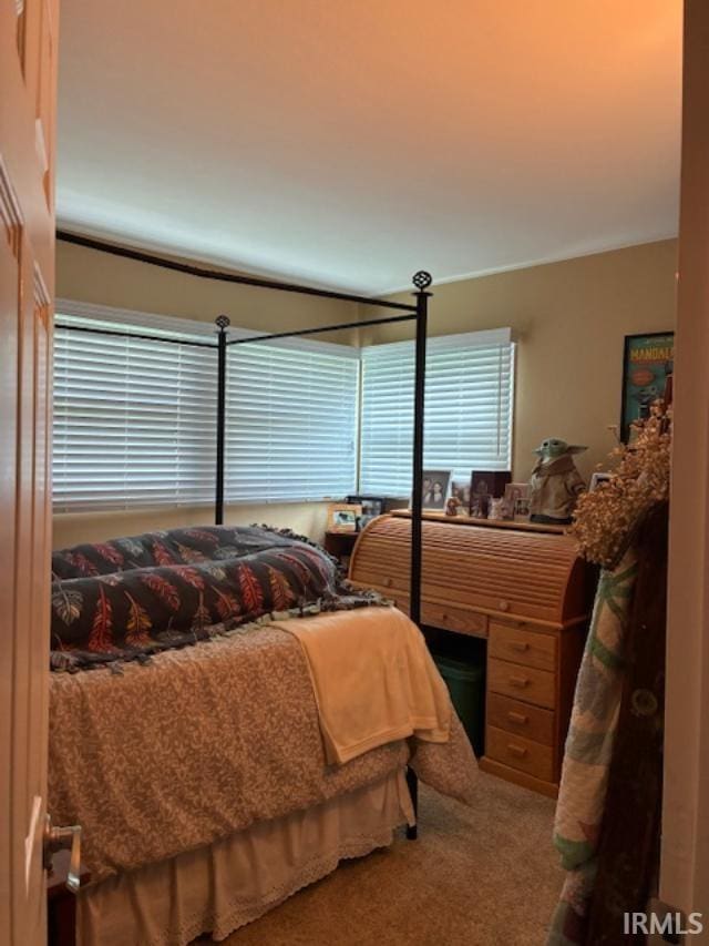 1814 W Kem Rd, Marion, IN 46952 - view of carpeted bedroom