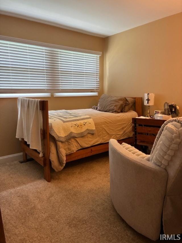 1814 W Kem Rd, Marion, IN 46952 - view of carpeted bedroom