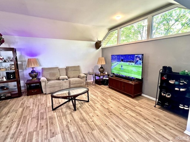 408 Duryea Dr, Auburn, IN 46706 - living area featuring light wood-type flooring and lofted ceiling