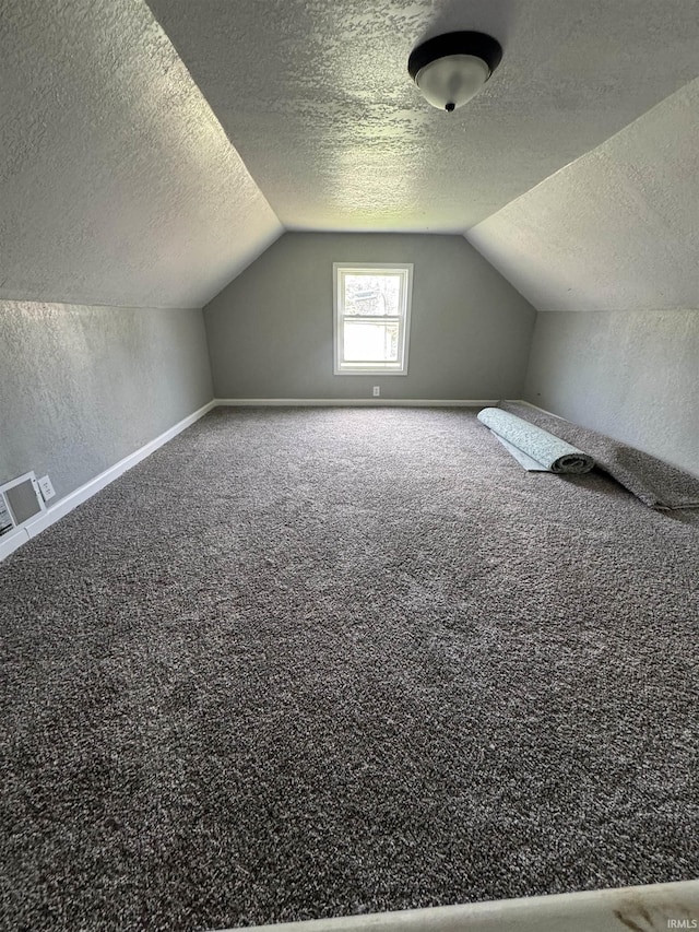 118 Burns Blvd, Fort Wayne, IN 46807 - additional living space featuring a textured ceiling, vaulted ceiling, carpet, and a textured wall