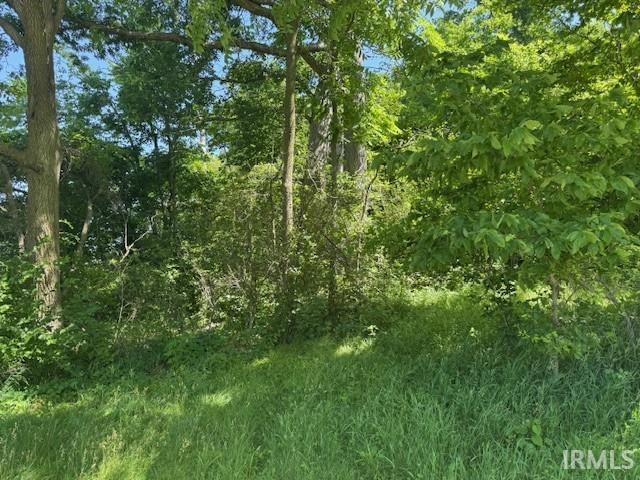 TBD N 550 Rd E, Churubusco, IN 46723