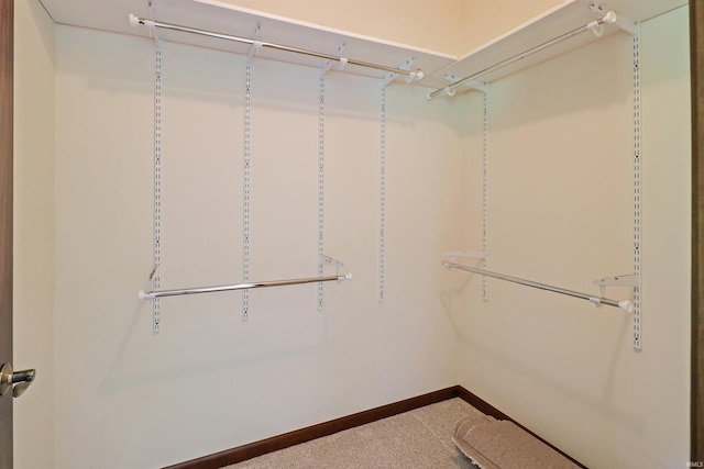 9932 N Meridian Line Rd, West Lafayette, IN 47906 - walk in closet with carpet floors