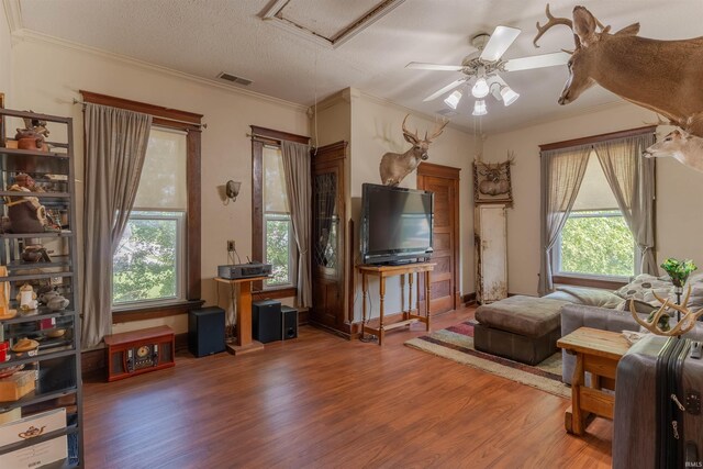 650 Main St, Rockport, IN 47635 - living room featuring wood finished floors, a ceiling fan, plenty of natural light, and crown molding