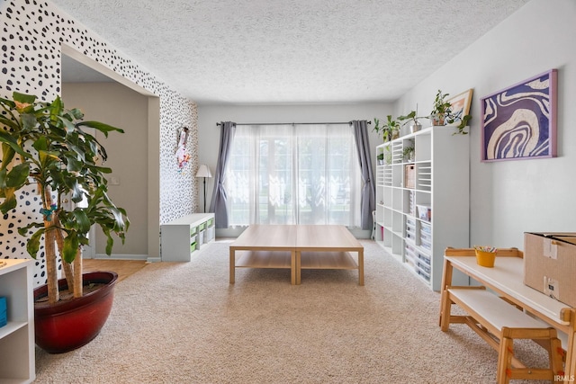 210 N Brookfield Dr, Lafayette, IN 47905 - living room with carpet and a textured ceiling