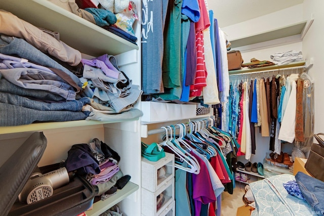 9502 Sail Wind Dr, Fort Wayne, IN 46804 - view of spacious closet