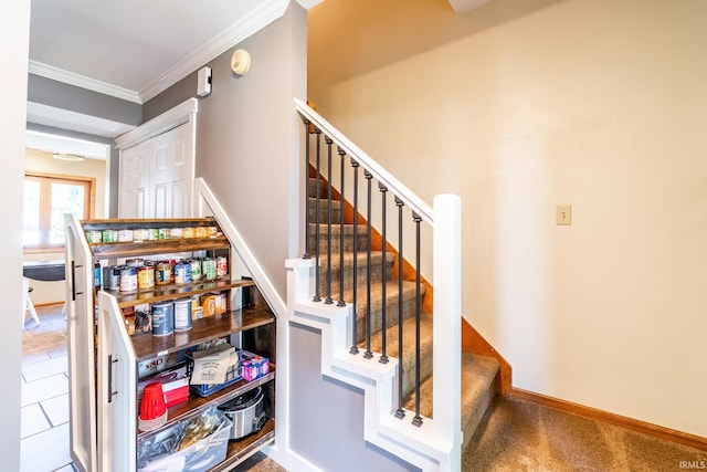 11215 Crested Oak Ct, Fort Wayne, IN 46845 - stairs featuring ornamental molding and baseboards