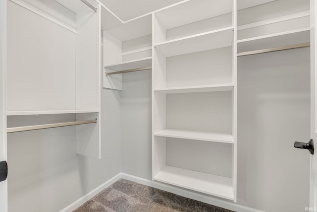 5165 Greyson Heights Dr, Auburn, IN 46706 - walk in closet featuring carpet floors