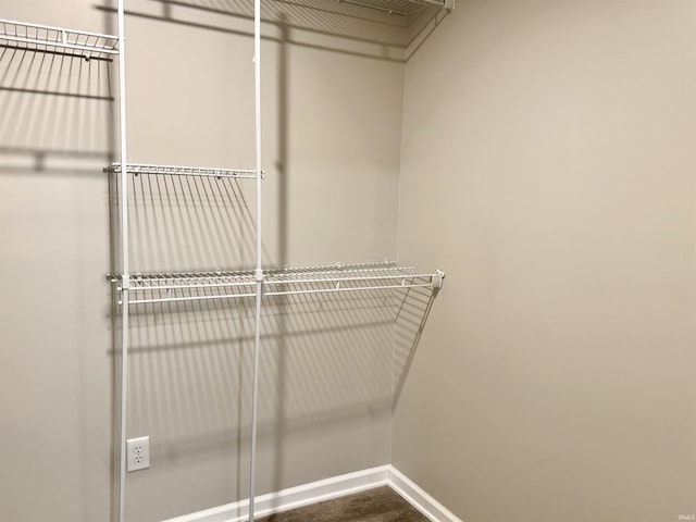 391 Hel Mar Dr, Mitchell, IN 47446 - view of spacious closet