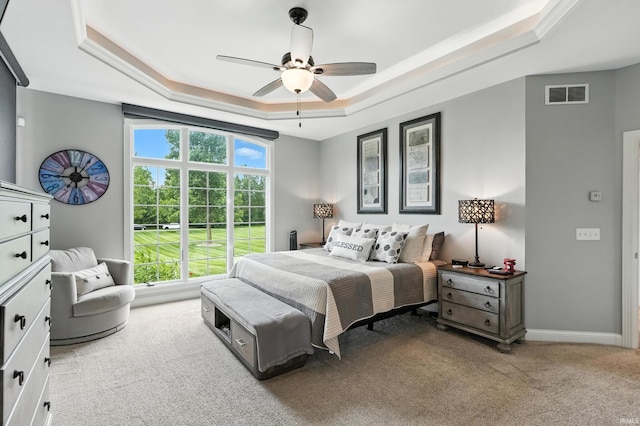 17325 N State Road 1st Rd, Spencerville, IN 46788 - bedroom with a raised ceiling, carpet flooring, and ceiling fan