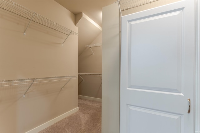 2843 Alex Ct, Newburgh, IN 47630 - walk in closet with carpet