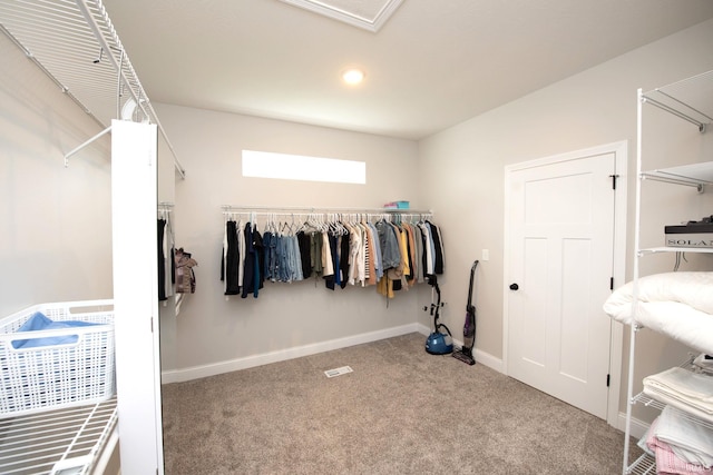5358 Maize Dr, West Lafayette, IN 47906 - walk in closet with carpet floors